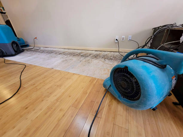 Professional Basement Flood Cleanup technician working in Lexington, MS